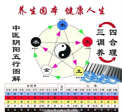 中醫五行歸類表|五行 (木火土金水)